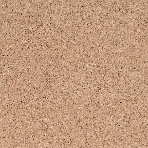 Lifeproof 8 in. x 8 in. Texture Carpet Sample - Coral Reef I - Color Aged Copper