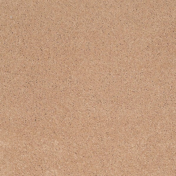 Lifeproof 8 in. x 8 in. Texture Carpet Sample - Coral Reef II - Color Aged Copper