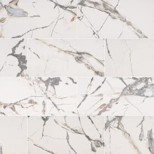 Avalon 12 in. x 24 in. Matte Porcelain Floor and Wall Tile (2 sq. ft./Each)