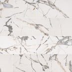 Avalon 12 in. x 24 in. Matte Porcelain Marble Look Floor and Wall Tile (16 sq. ft./Case)