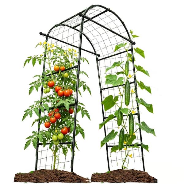 6.7 ft Garden Arch Trellis Vertical Growing Support Green 1 Piece