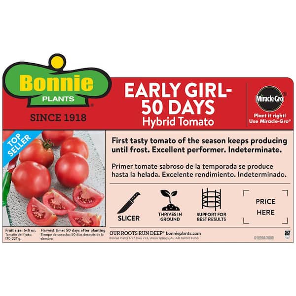 Tomato - Slicer, Early Girl