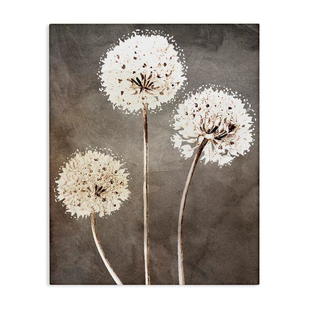 Fluffy Dandelion Plants Wildflower Botanical Blooms by Kim Allen Unframed Graphic Art Print Nature 40 in. x 30 in. price history on PriceWatchPro