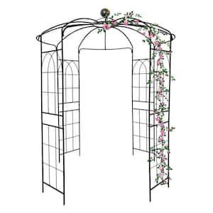 81 .3 in. W x 114.2 in. H Metal Garden Arch Outdoor Iron Birdcage Shape Trellis Pavilion for Wedding Ceremony, Black