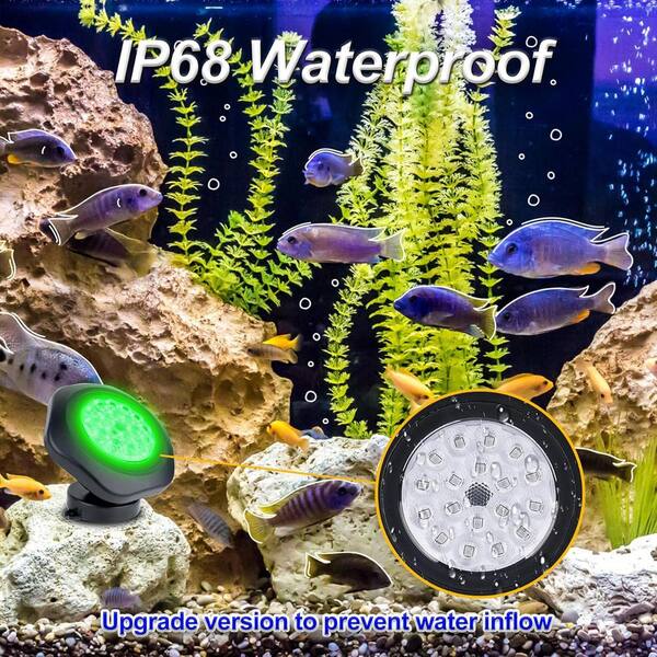 IP68 Waterproof 12-24V SUNVIE 3W LED Pond Lights - 12-24V Submersible ...