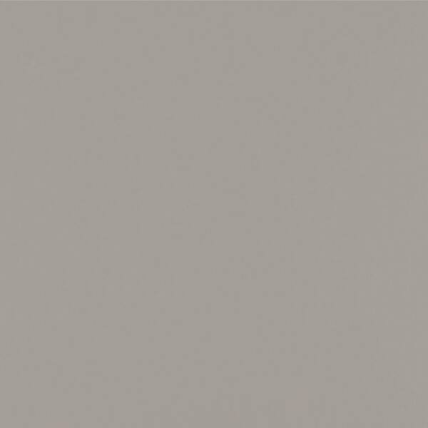 James Hardie Magnolia Home Hardie Panel HZ5 48 in. x 120 in. Fiber Cement Smooth in Stone Beach (50-Pack)