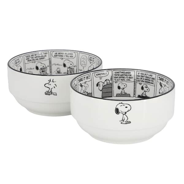 Peanuts Sunday Strips 2 Piece 6 in. Round Fine Ceramic Bowl Dinnerware Set in White