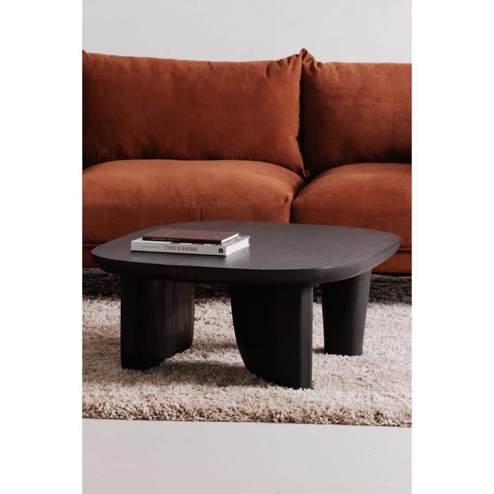 Talia 31.5 in. Black Rectangle Acacia Wood Coffee Table with Distressed Finish
