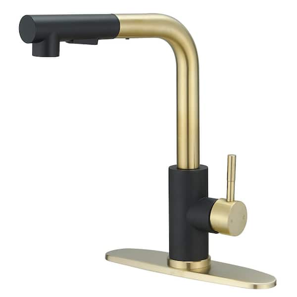 BWE 2 Sprayer Single Hole Single-Handle Pull Out Kitchen Faucet in Matte Black and Brushed Gold