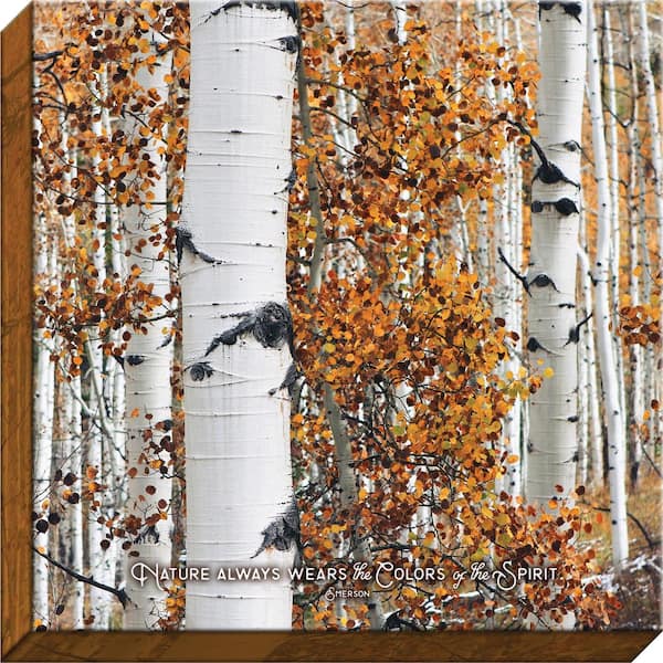 Unbranded Nature Made "Colors of the Spirit Birch" By Carpentree Canvas