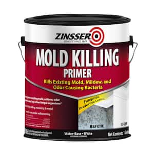1 gal. Mold Killing Interior/Exterior Primer (2-Pack)