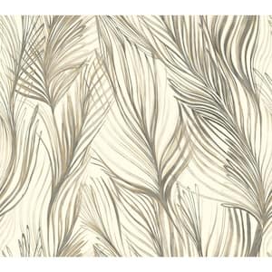 Dark Grey Peaceful Plume Paper Unpasted Matte Wallpaper, 27-in by 27-ft