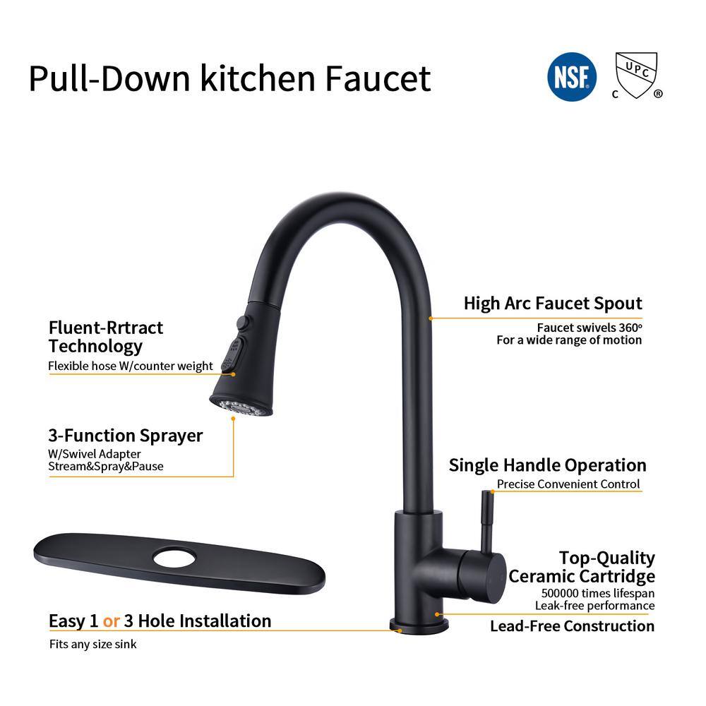 Matte Black Stainless Steel Single-Handle Pull-Down Kitchen Faucet