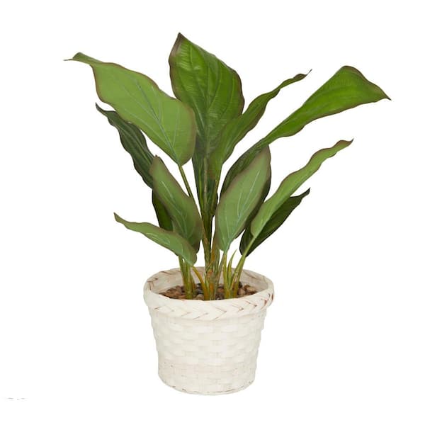 Litton Lane 24 in. H Dieffenbachia Artificial Plant with Realistic Leaves and Rattan Pot