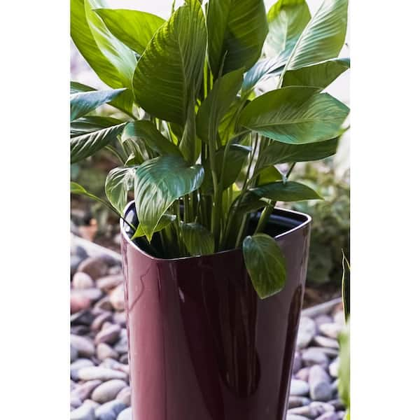 https://images.thdstatic.com/productImages/37da956f-56d3-4406-b58d-046a96c05903/svn/glossy-maroon-finish-xbrand-plant-pots-swplanterrd11-4f_600.jpg