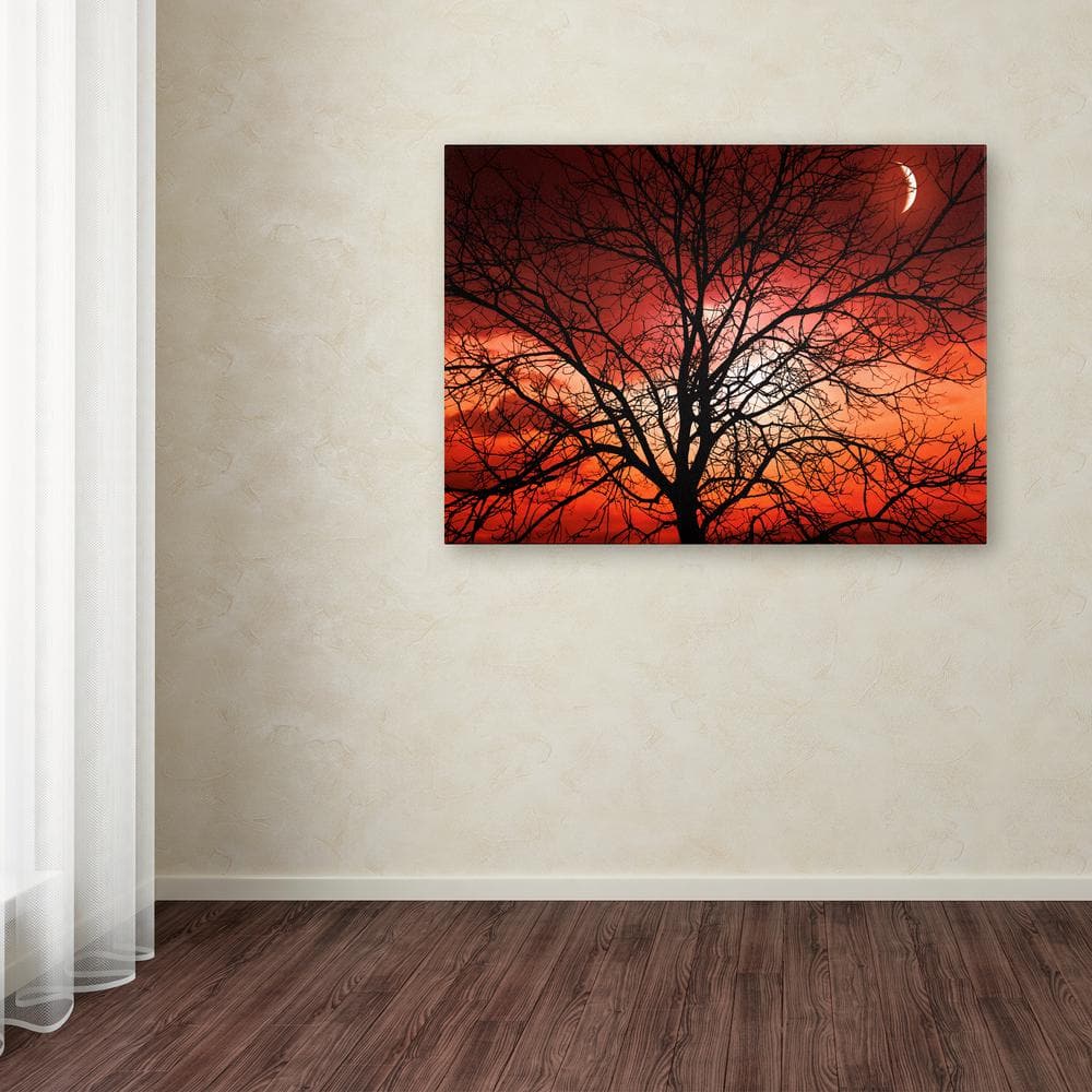 Big Bad Moon Landscape Framed Canvas Art, 22 x 32 Inch