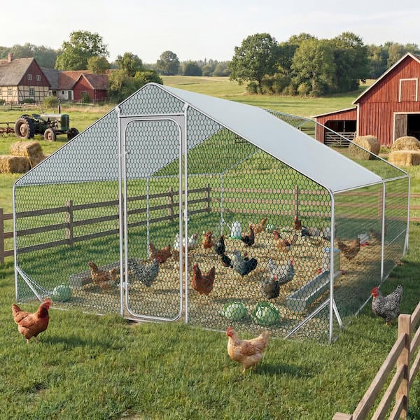 Tunearary 13 x 10 x 6.4 ft. Walk-in Chicken Run House and Metal