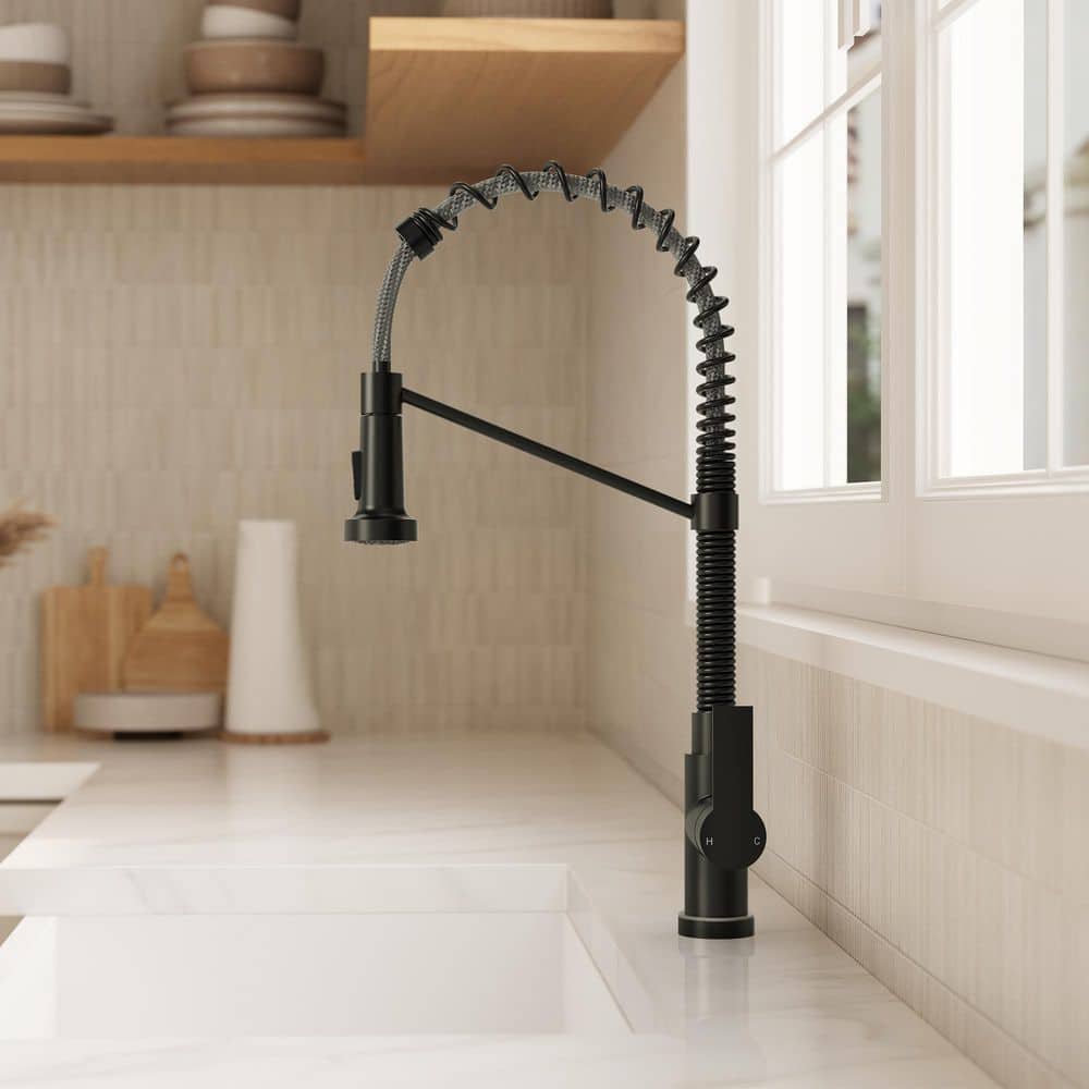 EVERSTEIN 21.26 in. Single-Handle Pull-Down 2-Sprayer Kitchen