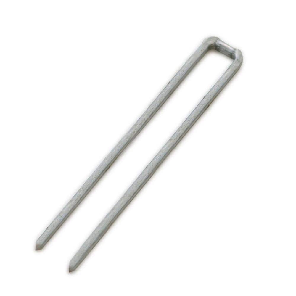 1/4 in. x 1 in. Crown x 18-Gauge Glue Collated Narrow Crown Staples for Woo