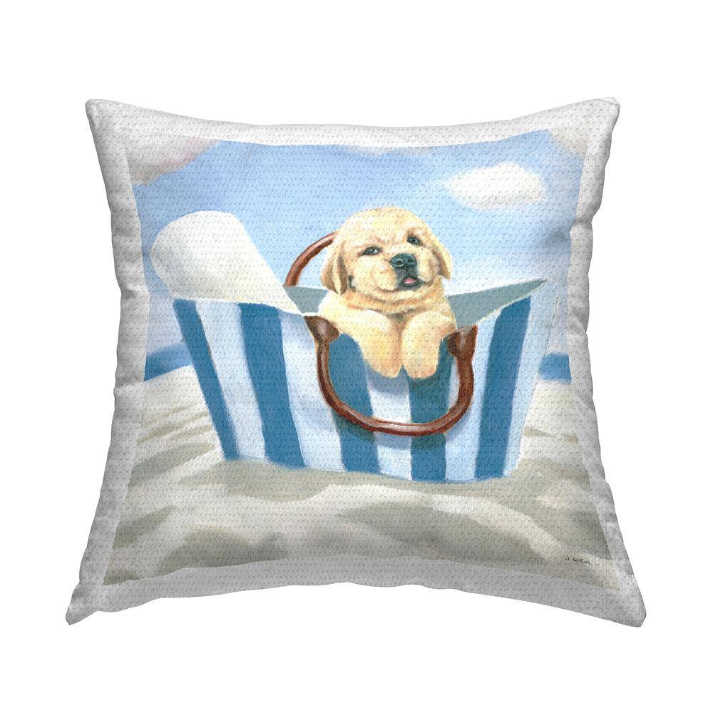 Puppy in Beach Basket Blue Square Outdoor Throw Pillow price history on PriceWatchPro