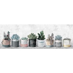 "Wild Succulents in Pots" by Parvez Taj Unframed Canvas Nature Art Print 15 in. x 45 in.