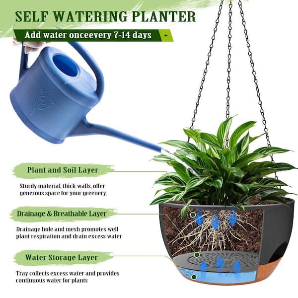 hanging plants for full sun Harvest Moon (part shade)  Colorado Flower Baskets