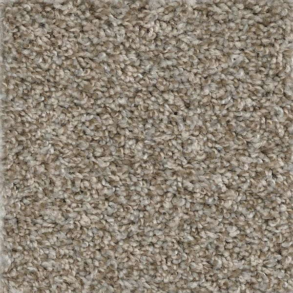 Trafficmaster 8 In X Texture Carpet Sample Montrose Color Sonic Ef 244954 The