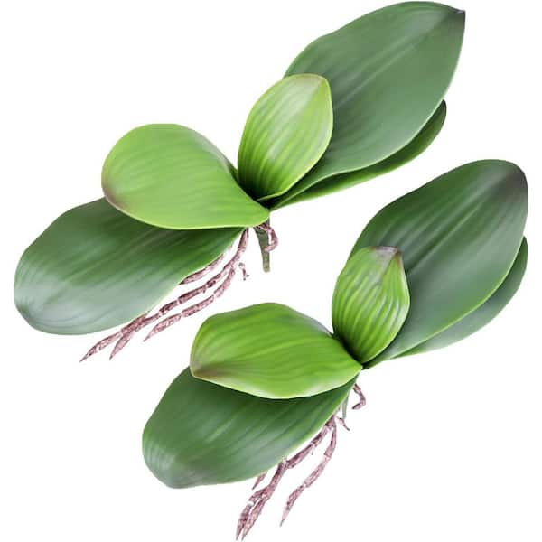8 in. Artificial Green Color Family Indoor/Outdoor Orchid Plant