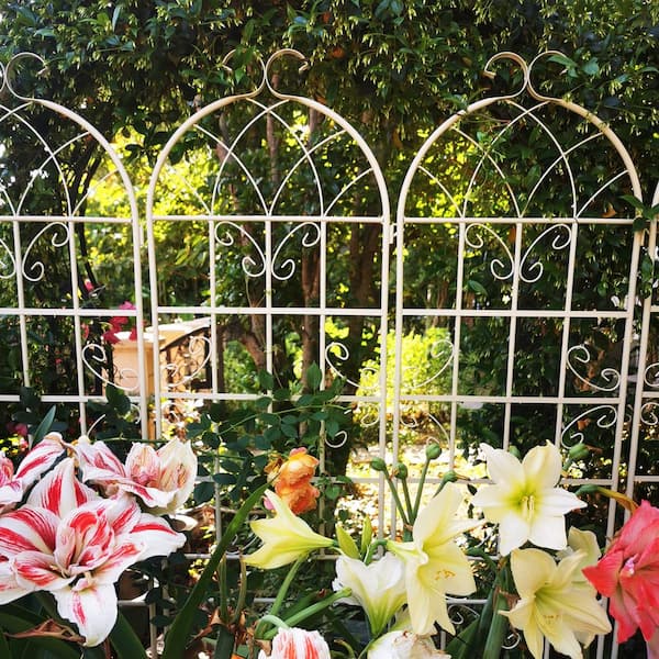 ToolCat 4-Pack 86.7 in. x 19.7 in. Metal Garden Trellis Rustproof Trellis for Climbing Plant Outdoor Flower Support Cream White