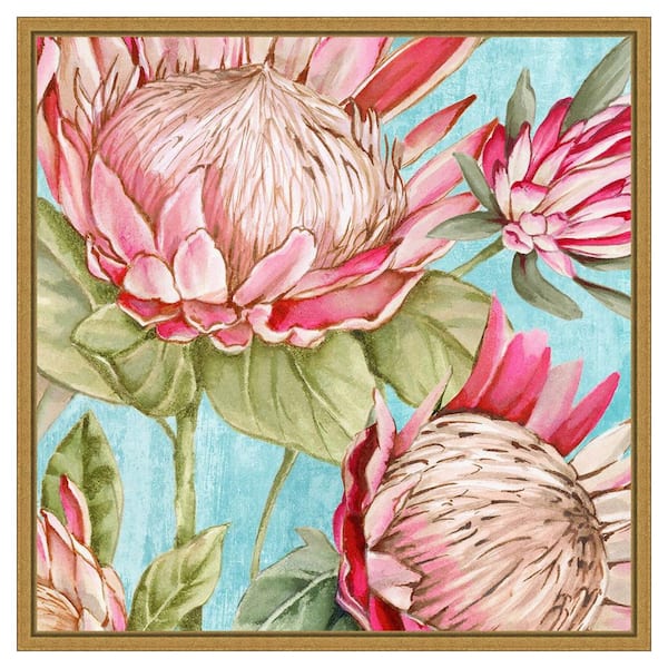 Amanti Art Popping King Protea I by Alex Black 1 Piece Floater Frame Canvas Giclee Nature Art Print 22 in. x 22 in.