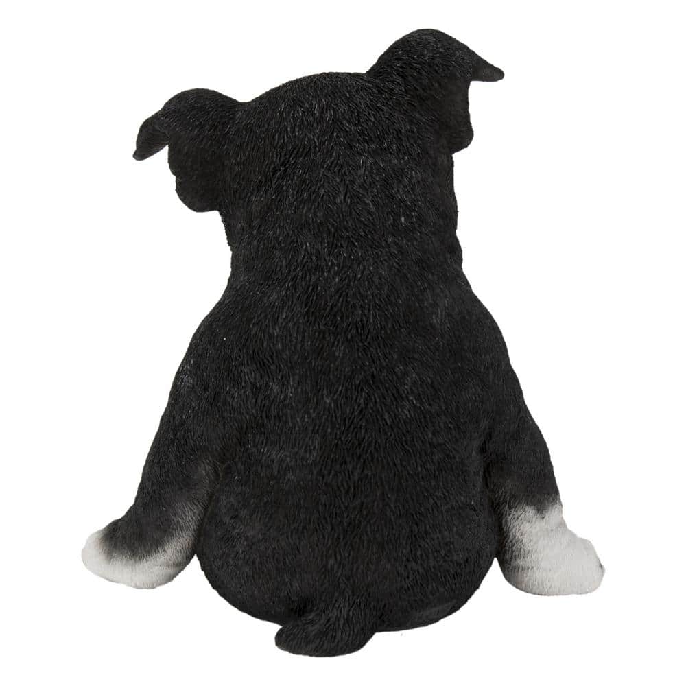 Sleepy Black and White Boston Terrier Puppy Polyresin Statue