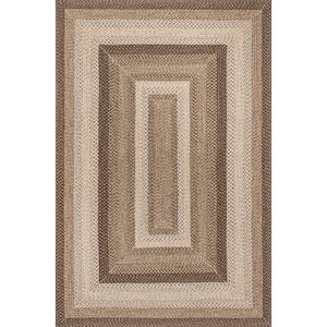 Sammy Braided Ombre Tan 8 ft. x 10 ft. Indoor/Outdoor Area Rug