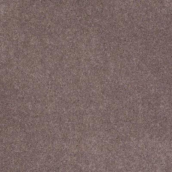SoftSpring Carpet Sample - Tremendous I - Color Purple Rain Texture 8 in. x 8 in.