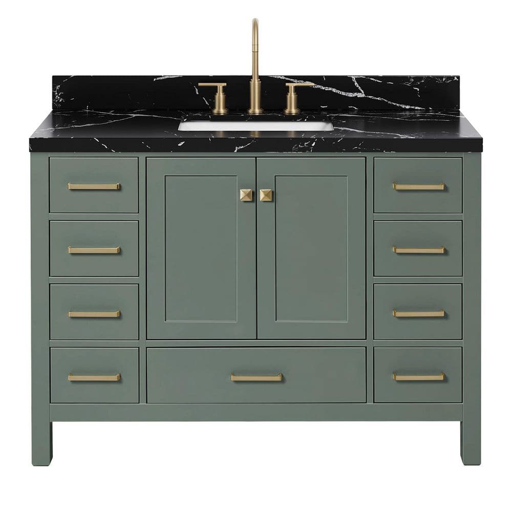 Cambridge 48 in. Single Sink Freestanding Bath Vanity in Vintage Sage Green with Nero Marquina Black Quartz Top price history on PriceWatchPro