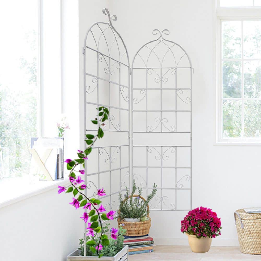 71 in. Cream White Metal Garden Trellis for Climbing Plants Rustproof Outdoor Flower Support (2-Pack) price history on PriceWatchPro