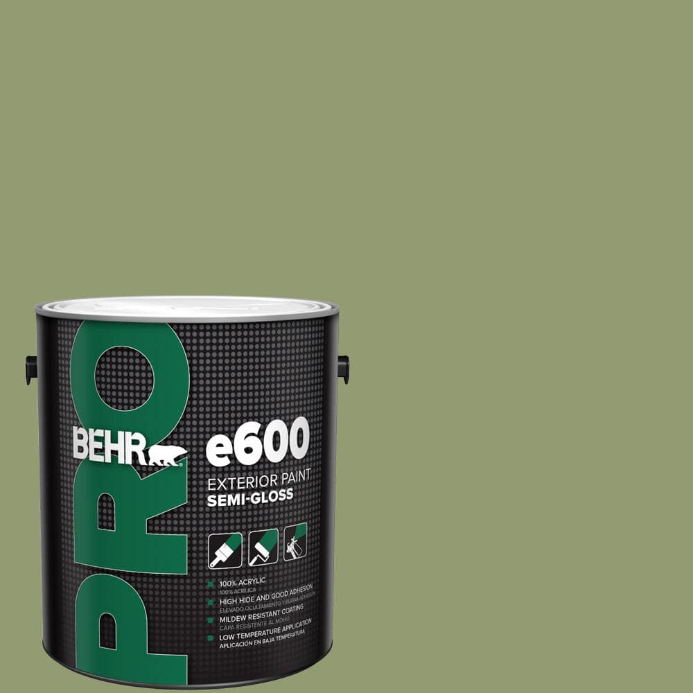 1 gal. #PPU11-04 Alamosa Green Semi-Gloss Exterior Paint price history on PriceWatchPro