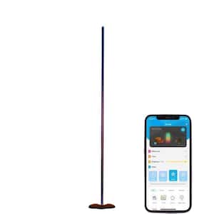 55 in. Black Standard Floor Lamp for Living Room with Alexa, Smart Modern Music Sync & Color Changing Floor Lamp