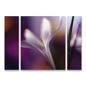 Trademark Fine Art Unknown Japanese Wisteria I B 3-Piece Panel Set