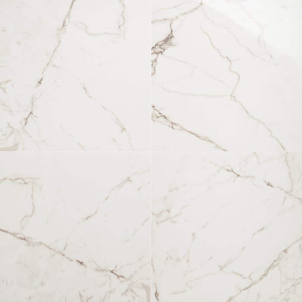 Saroshi Statuario Venato 23.62 in. x 23.62 in. Polished Marble Look Porcelain Floor and Wall Tile (15.5 sq. ft./Case) price history on PriceWatchPro