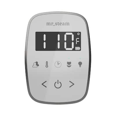 ButlerFlex Steam Shower Control Package with TempoFlex Control and Steamhead in White Satin Brass