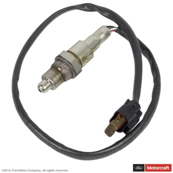 Oxygen Sensor