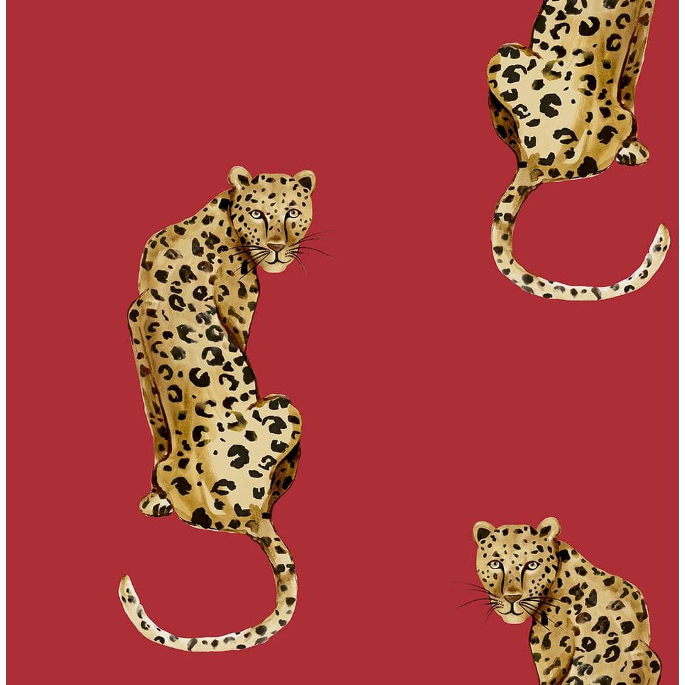 king cheetah wallpaper