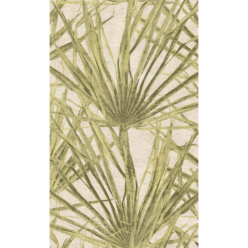 Dusty Yellow Palm Leaf Print Double Roll Non-Woven Non-Pasted Textured Wallpaper 57 Sq. Ft. price history on PriceWatchPro