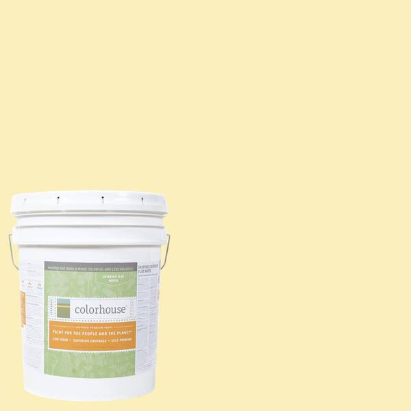 Colorhouse 5 gal. Aspire .01 Flat Interior Paint