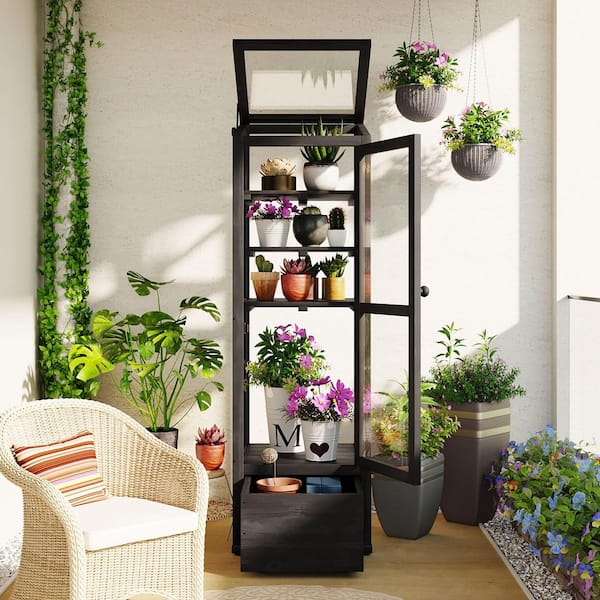 Unbranded 18.1 in. W x 19.7 in. D x 62.4 in. H Wood Black Outdoor Wood Greenhouse with Storage Box and Adjustable Shelves