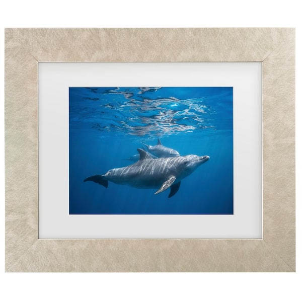 Barathieu Gabriel Pod Of Dolphin Matted Framed Photography Wall Art 21 in. H x 25 in. W