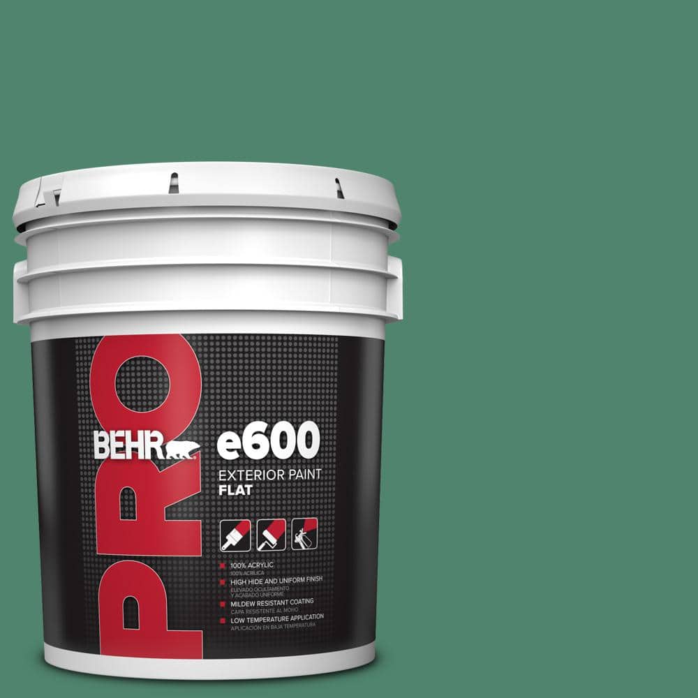 5 gal. #480D-6 Billiard Room Flat Exterior Paint price history on PriceWatchPro