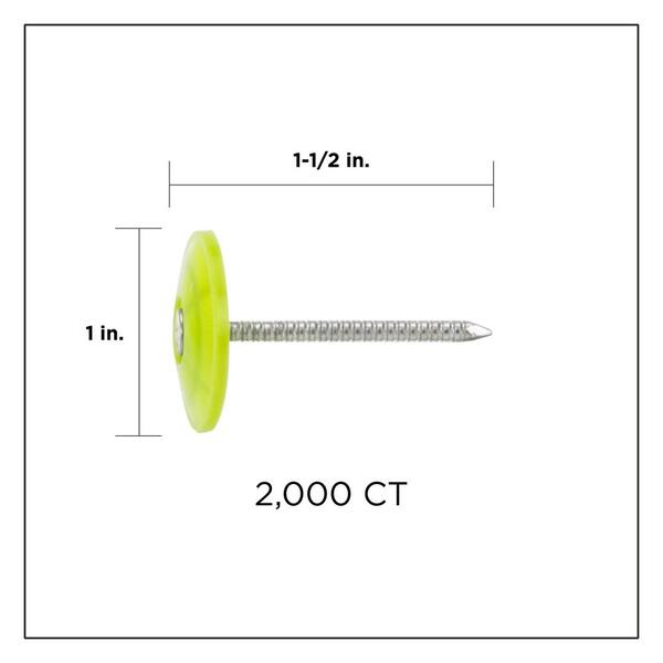 1-1/2 in. Electro Galvanized Ring Shank Nail with Plastic Cap (2000-Count)