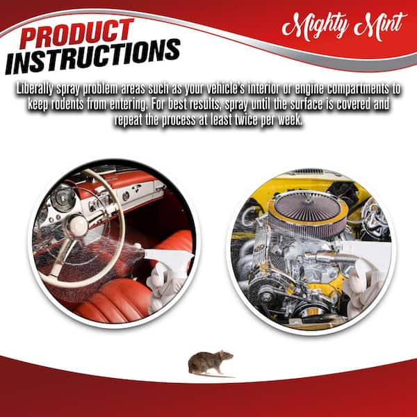 Best rodent repellent for cars discount