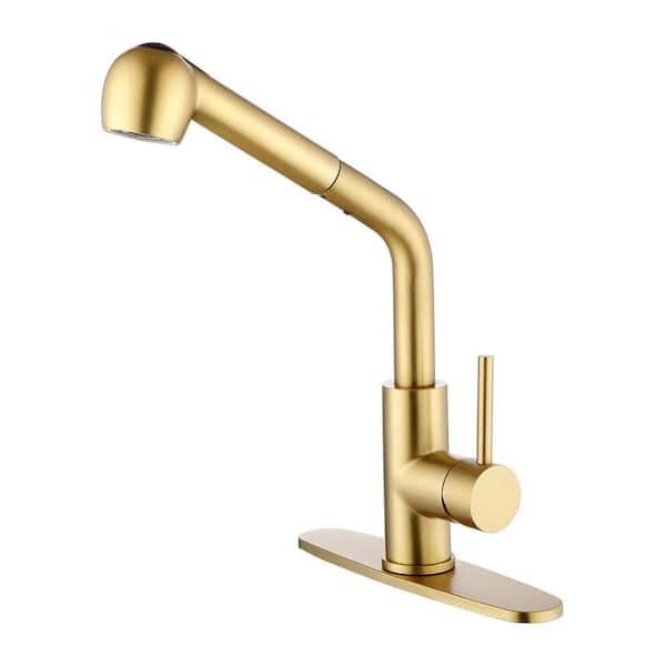 WELLFOR Single Handle Pull Out Sprayer Kitchen Faucet with Deckplate Included in Brushed Gold